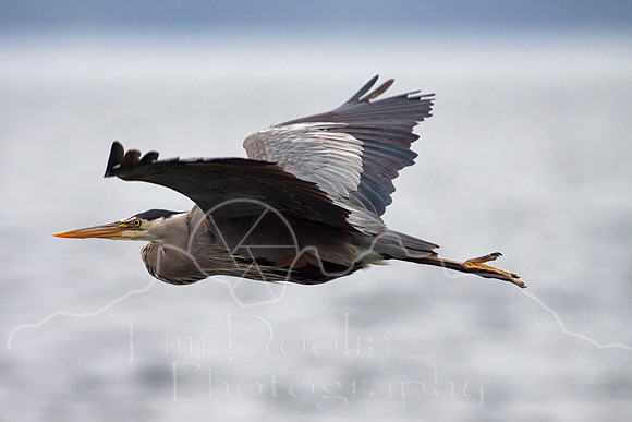IMG_7116-Edit