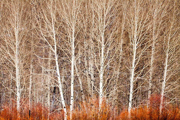 IMG_3177-Edit