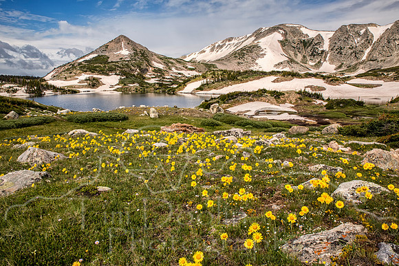 Wyoming Trip--summer 2014--19