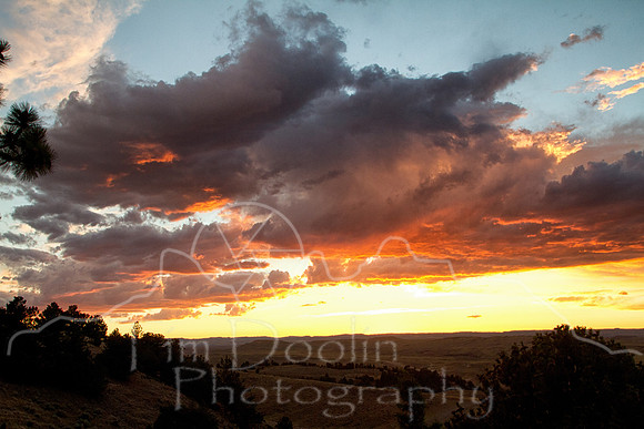 Antelope Camp--2011--9