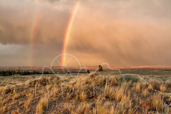 Antelope Camp--2011--5