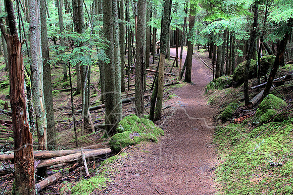 Orcas Island-7496_to_Orcas Island-7498.jpg