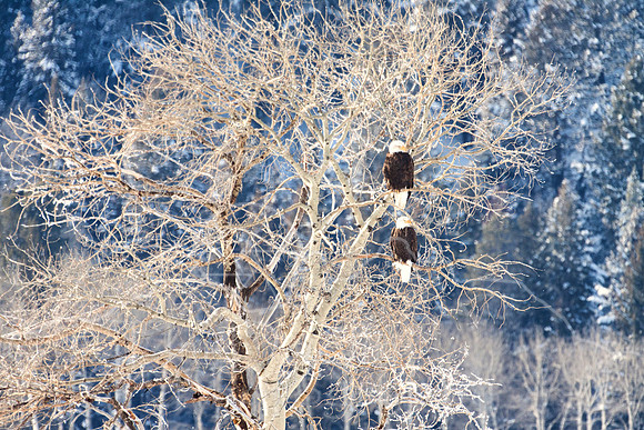 IMG_2495-Edit
