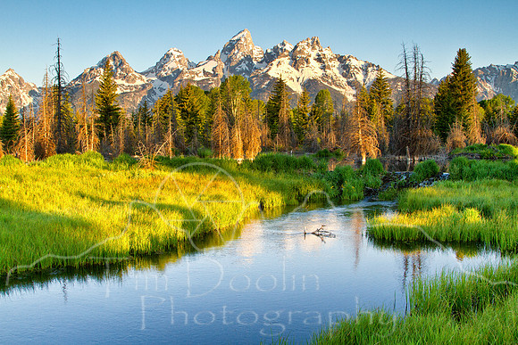 Yellowstone--Summer 2011--11