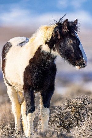 5D9A5027-Edit-2
