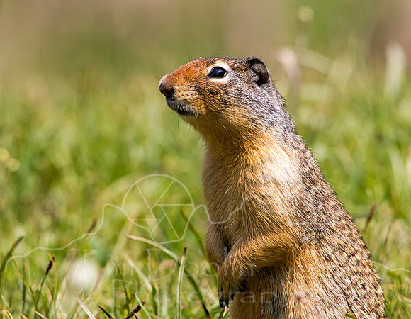IMG_0612-Edit