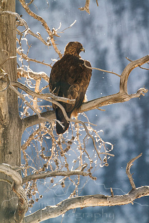 IMG_9837-Edit